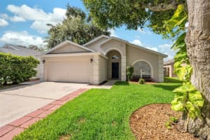 6803 SILVER BRANCH COURT, TAMPA, FL 33625 Sold 11/21/24