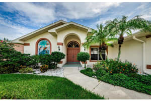 1338 KINSMERE DRIVE, TRINITY, FL 34655 Sold 12/31/24
