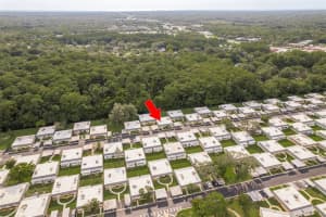 11801 BAYONET LANE, NEW PORT RICHEY, FL 34654 Sold 11/05/24