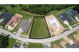 19453 SHELTERED HILL DRIVE, BROOKSVILLE, FL 34601 Sold 11/04/24