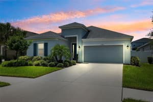 29888 WALSH OAK DRIVE, WESLEY CHAPEL, FL 33545 Sold 12/26/24