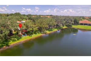 6612 BONITA VISTA COURT, LAND O LAKES, FL 34637 Sold 12/02/24