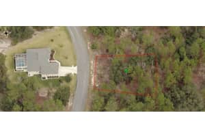 31 HACKBERRY DRIVE, HOMOSASSA, FL 34446 Sold 08/20/25