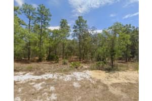31 HACKBERRY DRIVE, HOMOSASSA, FL 34446 Sold 08/20/25