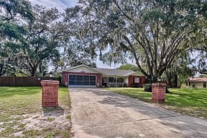 10165 CASEY DRIVE, NEW PORT RICHEY, FL 34654 Sold 12/19/24