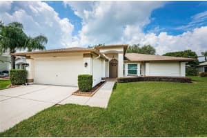 1353 FALLOWFIELD DRIVE, TRINITY, FL 34655 Sold 11/26/24