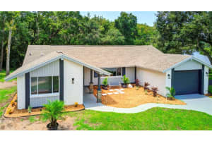 12503 RIVER MILL DRIVE, HUDSON, FL 34667 Sold 11/12/24