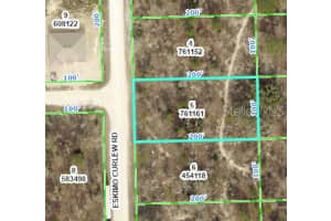 ESKIMO CURLEW RD, WEEKI WACHEE, FL 34614 Sold 10/29/24