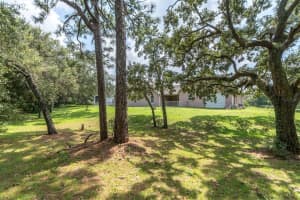 18940 BLACK GUM COURT, HUDSON, FL 34667 Sold 02/11/25