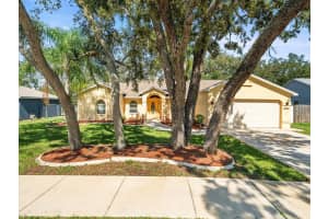 2434 DELTONA BOULEVARD, SPRING HILL, FL 34606 Sold 11/20/24