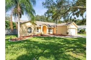 2434 DELTONA BOULEVARD, SPRING HILL, FL 34606 Sold 11/20/24