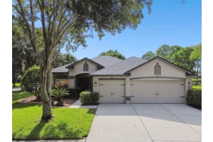 18802 CHOPIN DRIVE, LUTZ, FL 33558 Sold 10/25/24