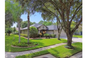 18802 CHOPIN DRIVE, LUTZ, FL 33558 Sold 10/25/24