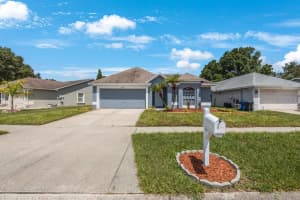 11124 BRAMBLEBRUSH STREET, TAMPA, FL 33624 Sold 09/23/24
