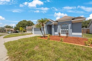 11124 BRAMBLEBRUSH STREET, TAMPA, FL 33624 Sold 09/23/24