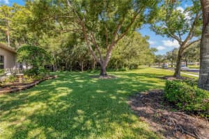 1188 LINDENWOOD DRIVE, TARPON SPRINGS, FL 34688 Sold 02/12/25