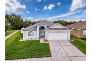 3327 GOLDEN EAGLE DRIVE, LAND O LAKES, FL 34639 Sold 05/29/25