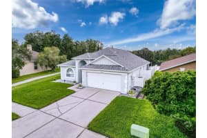 3327 GOLDEN EAGLE DRIVE, LAND O LAKES, FL 34639 Sold 05/29/25
