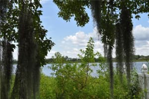 626 BELLINGHAM PLACE, PALM HARBOR, FL 34684 Sold 11/08/24