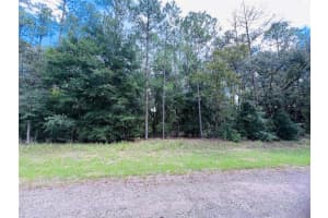 8681 WALLINGFORD AVENUE, CITRUS SPRINGS, FL 34434 - MLS#MFRW7867845