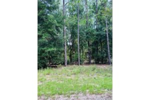 8681 WALLINGFORD AVENUE, CITRUS SPRINGS, FL 34434 - MLS#MFRW7867845