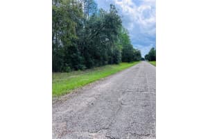 8681 WALLINGFORD AVENUE, CITRUS SPRINGS, FL 34434 - MLS#MFRW7867845