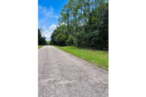 8681 WALLINGFORD AVENUE, CITRUS SPRINGS, FL 34434 - MLS#MFRW7867845