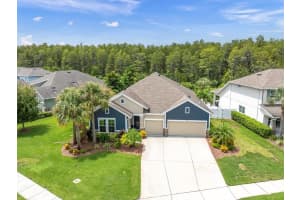 2633 EVE COURT, ODESSA, FL 33556 Sold 09/26/24
