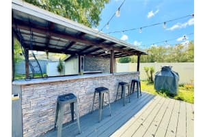 1336 BIG MOSS LAKE ROAD, LUTZ, FL 33558 Sold 02/10/25