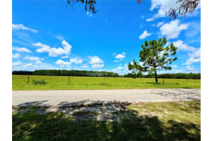 1336 BIG MOSS LAKE ROAD, LUTZ, FL 33558 Sold 02/10/25