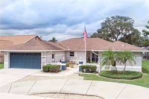 5419 WELLFIELD, NEW PORT RICHEY, FL 34655 Sold 11/01/24