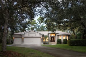 15411 VANESSA LANE, BROOKSVILLE, FL 34604 Sold 05/23/25