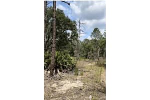 7112 CONTENTMENT LANE, DUNNELLON, FL 34433 - MLS#MFRW7868014