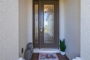 10915 CALLUNA DRIVE, ODESSA, FL 33556 Sold 10/16/24