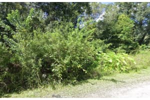 0 WEBB STREET, NEW PORT RICHEY, FL 34654 - MLS#MFRW7868115