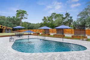8296 SYCAMORE DRIVE, NEW PORT RICHEY, FL 34654 Sold 10/15/24