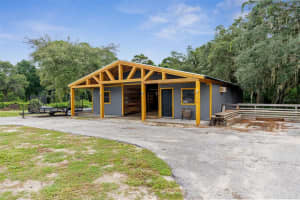 8296 SYCAMORE DRIVE, NEW PORT RICHEY, FL 34654 Sold 10/15/24