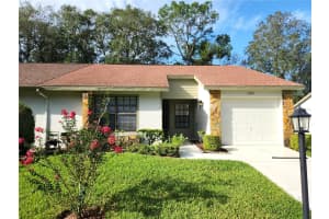 6592 BRAMBLELEAF DRIVE, SPRING HILL, FL 34606 Sold 04/08/25
