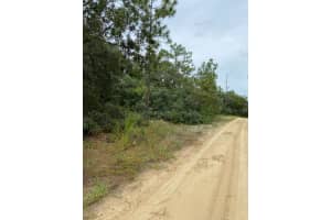 318 CRESTVIEW AVENUE, INVERNESS, FL 34452 - MLS#MFRW7868206