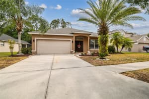 12113 COLONY LAKES BOULEVARD, NEW PORT RICHEY, FL 34654 Sold 05/09/25