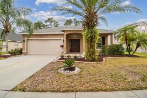 12113 COLONY LAKES BOULEVARD, NEW PORT RICHEY, FL 34654 Sold 05/09/25