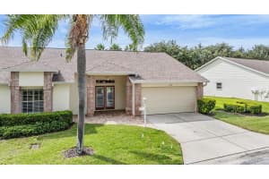 1149 FLORA VISTA STREET, TRINITY, FL 34655 Sold 11/21/24