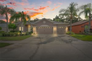 1204 WYNDHAM LAKES DRIVE, ODESSA, FL 33556 Sold 10/31/24