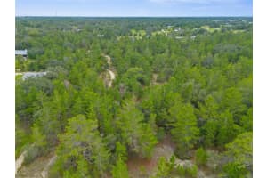 MADISON ST, BROOKSVILLE, FL 34613 - MLS#MFRW7868258
