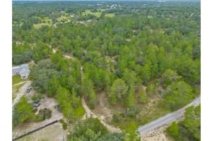 MADISON ST, BROOKSVILLE, FL 34613 - MLS#MFRW7868258