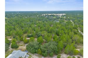 MADISON ST, BROOKSVILLE, FL 34613 - MLS#MFRW7868258