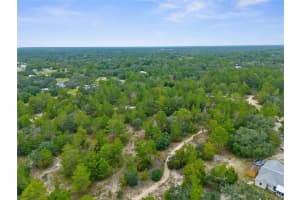 MADISON ST, BROOKSVILLE, FL 34613 - MLS#MFRW7868258