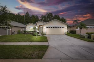 1153 DUSTAN PLACE, TRINITY, FL 34655 Sold 06/18/25
