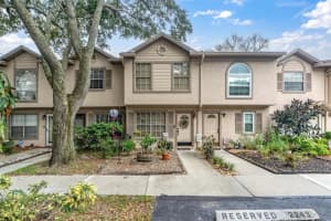 2243 FLETCHERS POINT CIRCLE, TAMPA, FL 33613 Sold 10/31/24