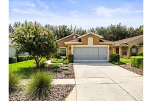 11730 NEW HAVEN DRIVE, SPRING HILL, FL 34609 Sold 01/09/25